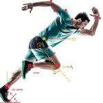 انجام پایان نامه تربیت بدنی